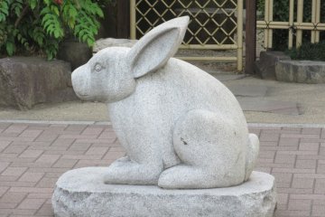 The Rabbit (Usagi)