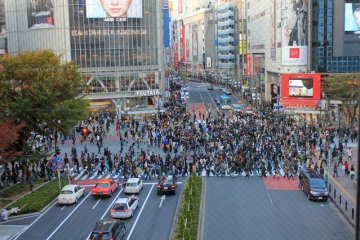 Access to all of your favorite Tokyo destinations - Shibuya Crossing