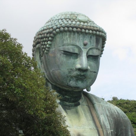 Visiting Great Buddha in Kamakura