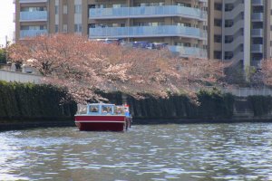 Chiếc thuyền đang đi dọc sông Meguro 