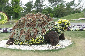 A "Tortoise" made of flowers