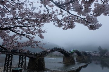 สะพานคินไตเคียวในฤดูใบไม้ผลิ