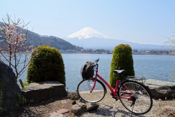  คุณสามารณชมวิวภูเขาฟูจิในหลากหลายลุค โดยการปั่นจักรยานรอบทะเลสาบ 