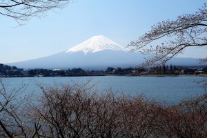 ที่ทะเลสาบคะวะกุชิโกะ คุณสามารณชมวิวภูเขาฟูจิในหลากหลายลุค
