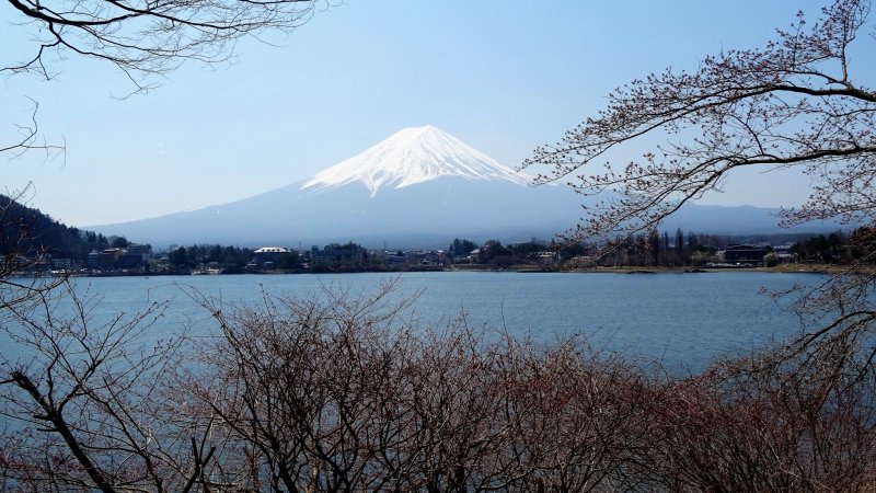 ที่ทะเลสาบคะวะกุชิโกะ คุณสามารณชมวิวภูเขาฟูจิในหลากหลายลุค
