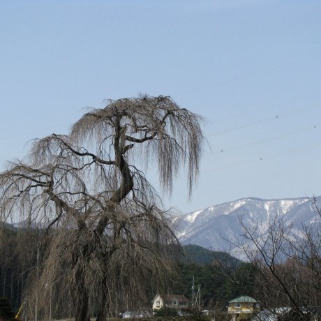 Nagano Countryside