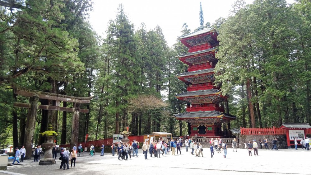 เจดีย์ห้าชั้นแห่งศาลเจ้าโทะโชะ-กุ (Tōshō-gū) แห่งนิกโกะ ที่มีฉากหลังเป็นป่าสนญี่ปุ่นต้นสูงใหญ่