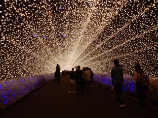 The breath-taking scene of Tunnel of Lights