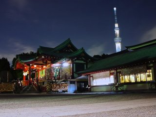 Le sanctuaire Kameido et la Skytree en fond de nuit