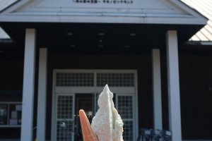 Gelato in front of the main entrance