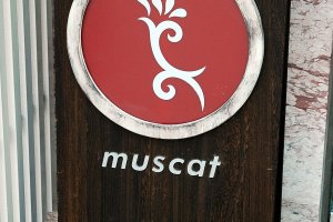Get Inked at Studio Muscat