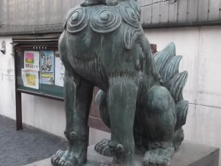 A guardian lion at the gate