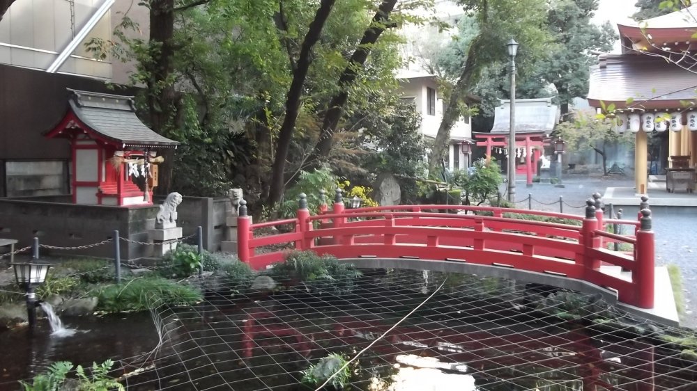 The carp pond by one of the side shrines