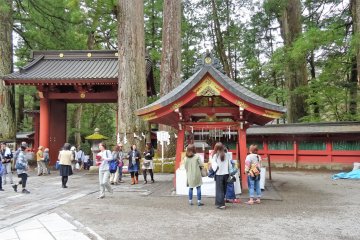ประตูศาลเจ้าและต้นเมะโอะโตะ ซุกิ (Meoto Sugi) หรือ ต้นสนสามีภรรยา 