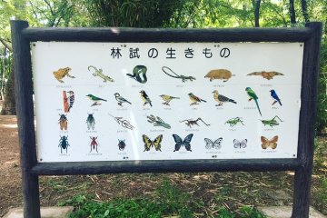 Signage indicating which wildlife live in the park