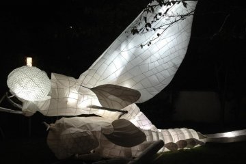 Things that glow in the night at Nuit Blanche Kyoto
