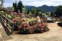 Vườn hoa thảo mộc thung lũng Kofu