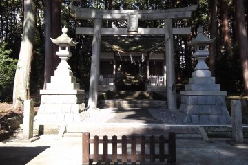 The shrine is surrounded by tall trees