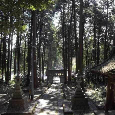Храм Сиигаваки рядом с Хамамацу