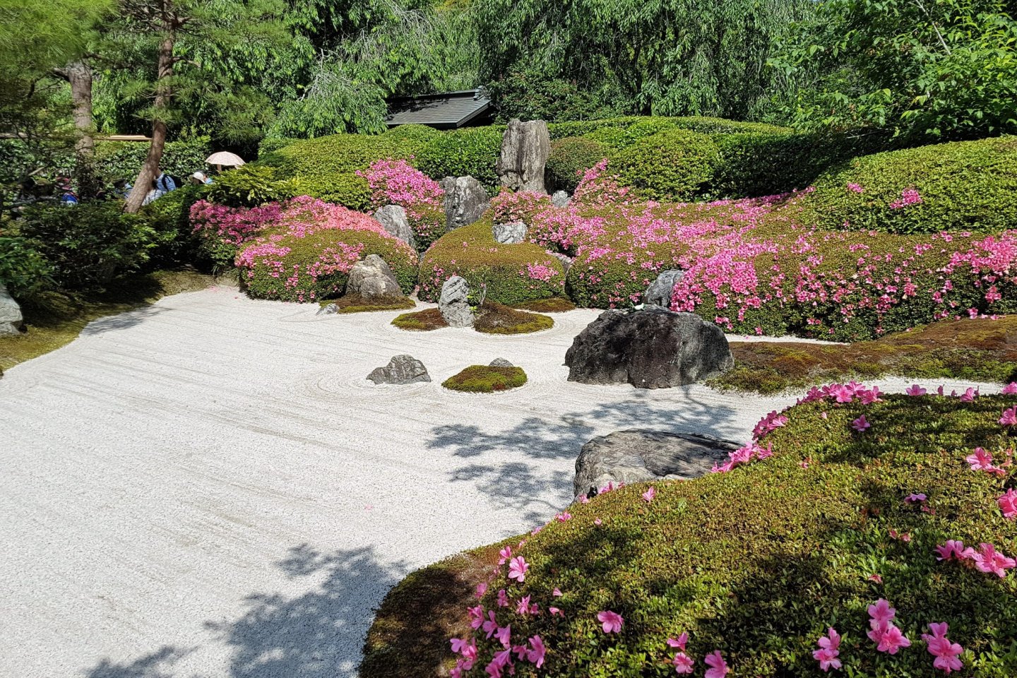 สวนญี่ปุ่นที่ตั้งอยู่ด้านหน้าของฮอนโด (hondou) หรืออาคารหลัก