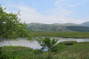 Yashimagahara Wetlands Pond