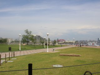 Open spaces in the center of the city