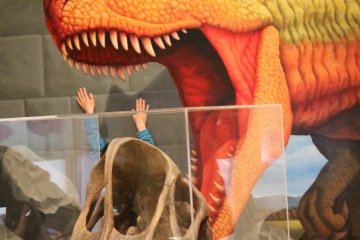 The Ehime Prefectural Science Museum is a scream!