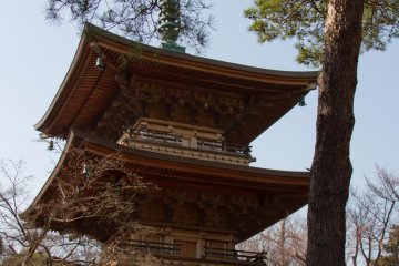 An impressive pagoda can be found right after the main entrance to the left