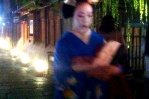 Was she a geisha that walked past a fleeting moment of Night beauty at Gion Shirakawa in Springtime