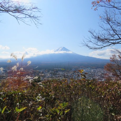 Fuji-San in the Fall