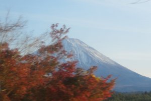 Autumn leaves with Mt. Fuji in background