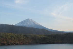 Mt. Fuji from Lake Saiko