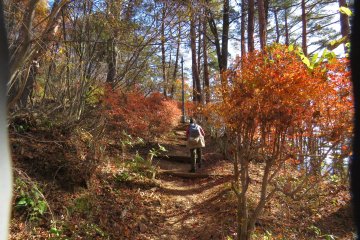 Fall colors along Mt. Kachi Trail