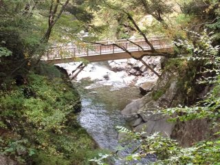 Il y a plusieurs ponts le long du sentier o&ugrave; vous pouvez vous arr&ecirc;ter pour prendre des photos
