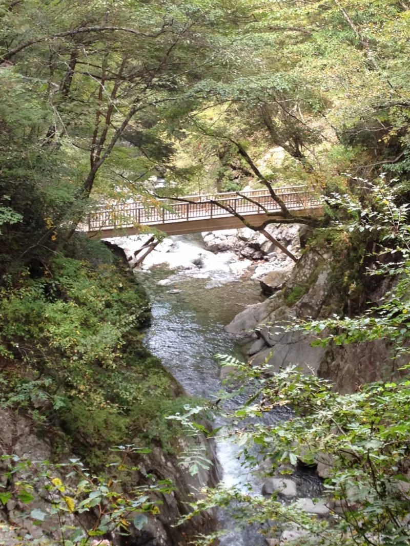 บนเส้นทางเดินป่าจะมีสะพานอยู่สองสามแห่ง ที่ซึ่งคุณสามารถหยุดถ่ายภาพแม่น้ำ เก็บไว้ดูเล่น