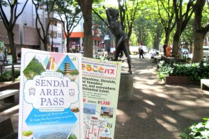 The Sendai Area Pass is useful if you are taking the public transport to visit Sendai's attractions.