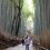 꾜토, 사가노 대나무 숲 길