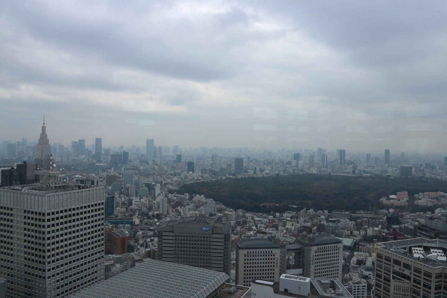 The View from the Tokyo Metropolian Building