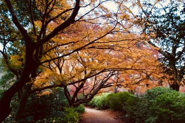 Shimizu Park 