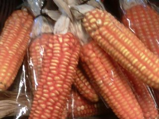 Corn in packages with white cotton sashes at the Farmers Market in Dekopon Country between Kumamoto Airport and Mount Aso or Aso san