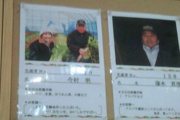 Profiles of the Farmers supplying the coop market in Dekopon Country between Kumamoto Airport and Mount Aso or Aso san are facinating to read
