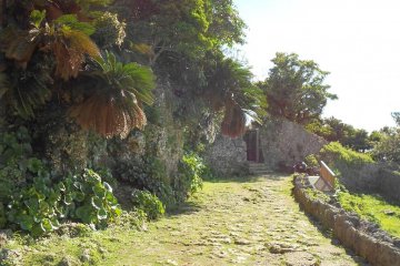 A mossy path with time-worn stones at Naka castle