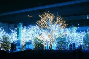 Kyocera Headquarters Illumination & Concert 2017