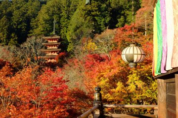 Pagoda in the red leaves