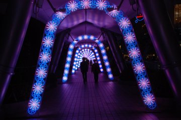 Tokyo Dome City Winter Lights
