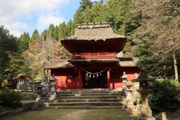 Washibara Hachimangu Shrine, with the 1000year old cedar tree jutting out from the tree line