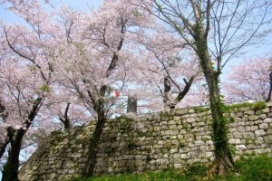 The ruins of Murakami Castle