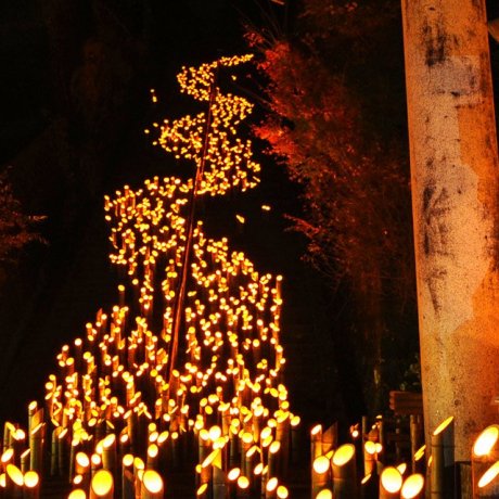 เทศกาลโคมไฟไม้ไผ่ Chikuraku แห่งทะเคะตะ