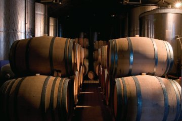 Oak Barrels in the Winery