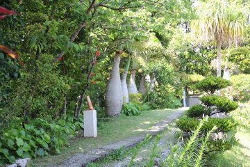 The Nakamura House is ringed by a beautifully groomed wooded and ornamental grass garden.